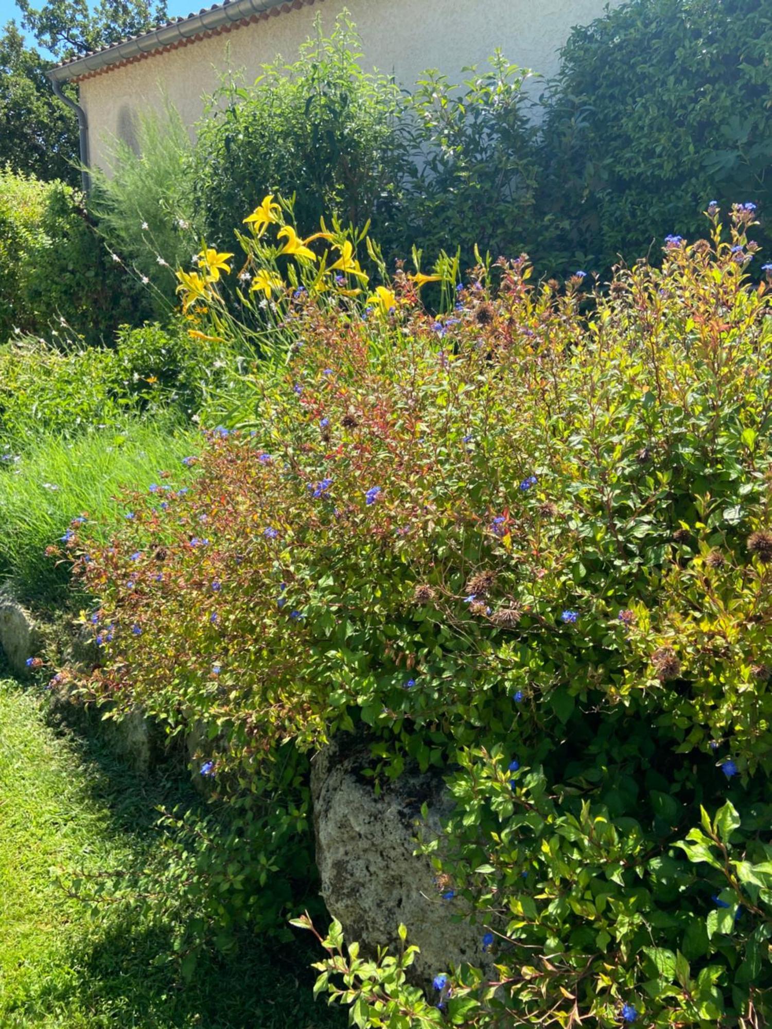 Paradis Provencal Villa - Espace Detente Et Bbq Lmv Carpentras Exteriör bild